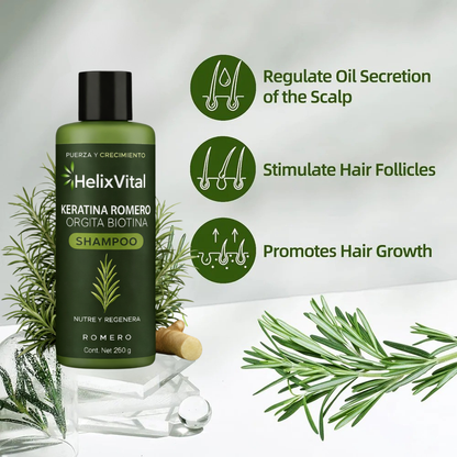 Keratin + Rosemary + Nettle + Biotin - Nourishing and Regenerating Shampoo for Thick, Voluminous Hair