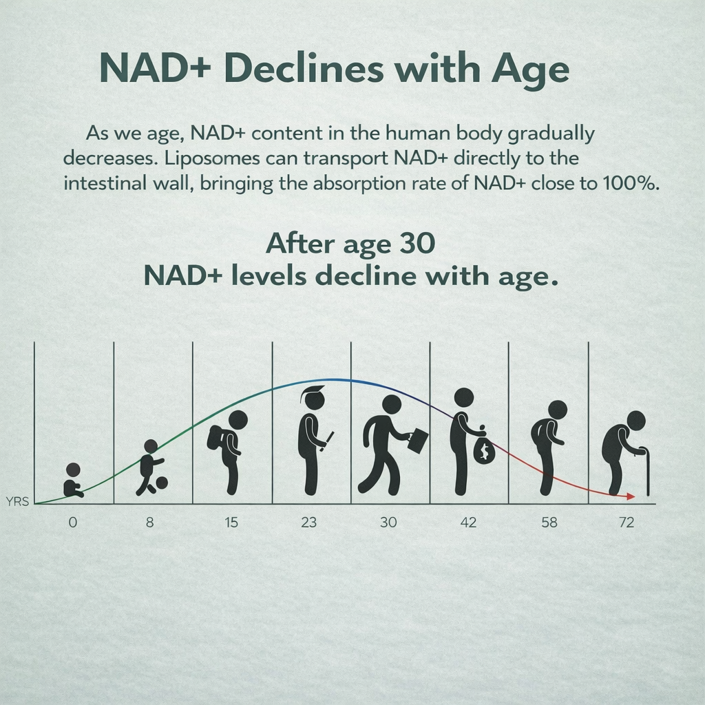 NAD+ Liposomal - Cellular Energy and Longevity in Every Capsule