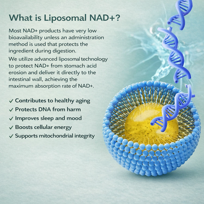 NAD+ Liposomal - Cellular Energy and Longevity in Every Capsule