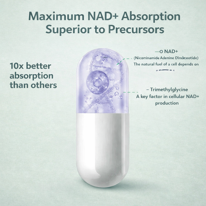NAD+ Liposomal - Cellular Energy and Longevity in Every Capsule
