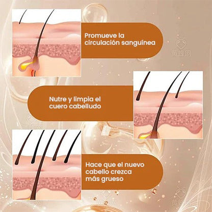 Aceite de Romero y Menta: El Secreto Natural para un Cabello Fuerte y Abundante